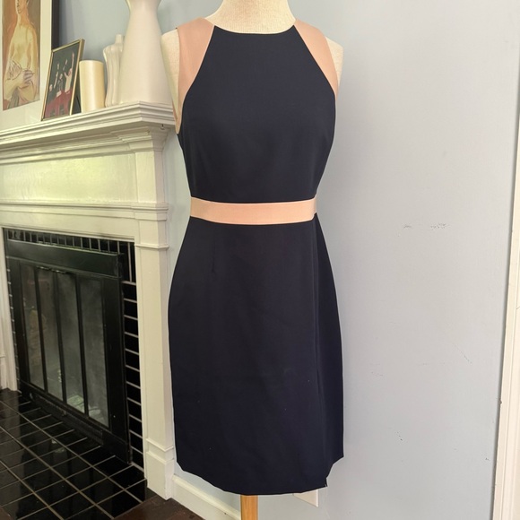 J.CREW Gwen navy blue colorblock sheath dress NEW NWT Size 8 nude blush pink - Picture 3 of 9
